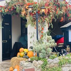 Autumn 