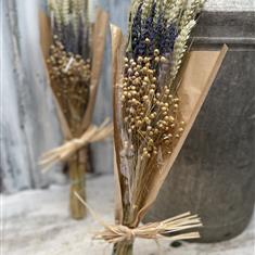 Petite lavender 