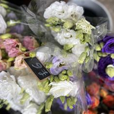 Lisianthus bunches 