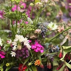 Dorset grown flowers 