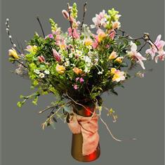 Fabulous XL  Choice of the Day 