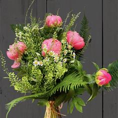 Beautiful peonies  