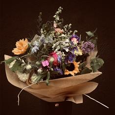 Todays Pick Simply Wrapped in Paper 