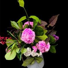 Home grown at house of flowers 