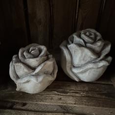 Cement your love with this rose duo 