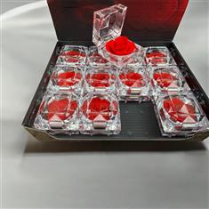 Preserved red rose in a box 