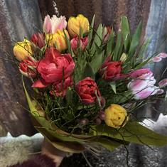 This weeks offer  -Double tulips 