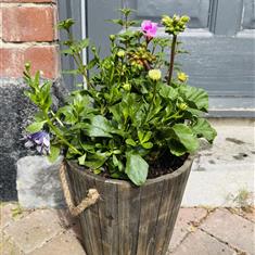 Outdoor wooden rustic charm 