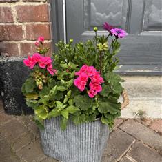 Large square tin of garden magic 