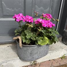 Oval tin of garden treasures 