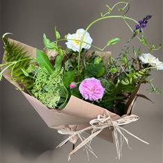 Grown at House of flowers 