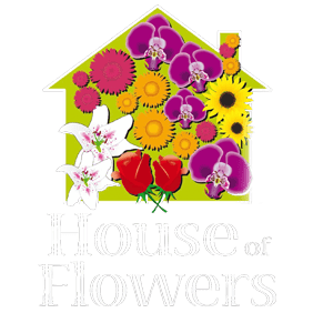 House of Flowers Lyme Regis