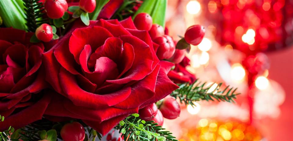 Christmas Flowers