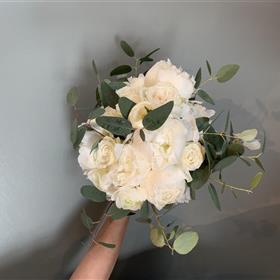 fwthumb40C97551-E039-44DB-AD07-684138ED2644.jpg